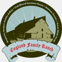 english-courses.com