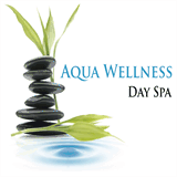 aquawellnessdayspa.com