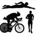 swinfordtriathlon.com