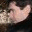 gregmcmillan.wordpress.com