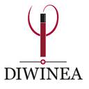 blog.diwinea.ch