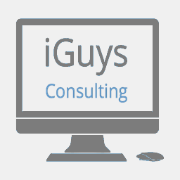 iguysconsulting.com