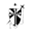 houstondominicans.org
