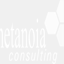 metanoia-consulting.org