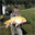 carpocoup.over-blog.com