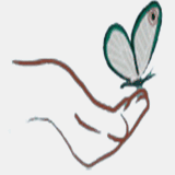 awakening4wellness.com