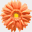 atami-refle.com