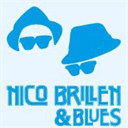 nicobrillenblues.nl