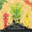 pranavibes.bandcamp.com