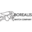 borealiswatch.com