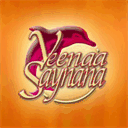veenaasaynana.com