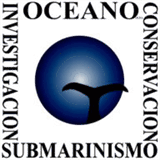 okeefeconsulting.com