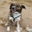 couble.over-blog.com