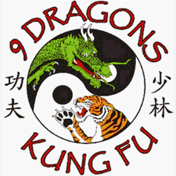 9dragonskungfu.com