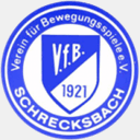 vfb-schrecksbach.de