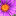 poweroftheflower.blogspot.com
