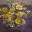 claartjevanderlinden.nl