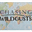 chasingwildgusts.com