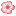 amandabrice.net