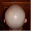 thebaldnation.com