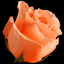 rosequest.com