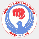 kucukkoykarate.tr.gg