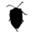 howtogetridofstinkbugs.com
