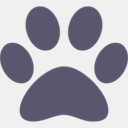 bocahomeguide.com