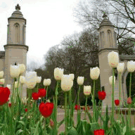 chinakitchenalpharetta.com