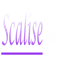 scaliseconstruction.com