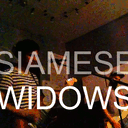 siamesewidows.com