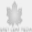 greyleafmedia.com