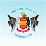 aquariophilie-gouesnou.fr