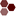 nasingia.com