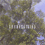 evanandree.bandcamp.com