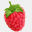 raspberryketonesusa.com