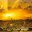 israeltelaviv.wordpress.com