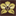 orchiddental.ca