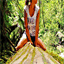 suiveznelly.over-blog.com