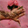 mariagemixtefrancomarocain.over-blog.com