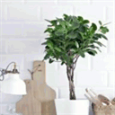 candeadevelopment.com