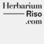 herbarium-riso.com