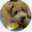 caojinyan.com