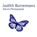 judithborremans.com