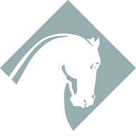 aristaequestrian.com