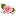 cikiniflorist.com