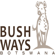 bushways.co.za