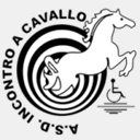 incontroacavallo.it