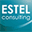 estelconsulting.com