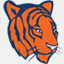 digitaltigers.de